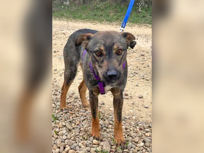 Bibi 45cm geb. 12/2024 sucht ein liebevolles Zuhause