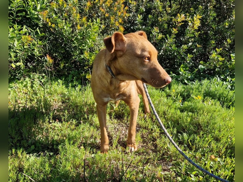 GODVIN sucht entspannte Menschen