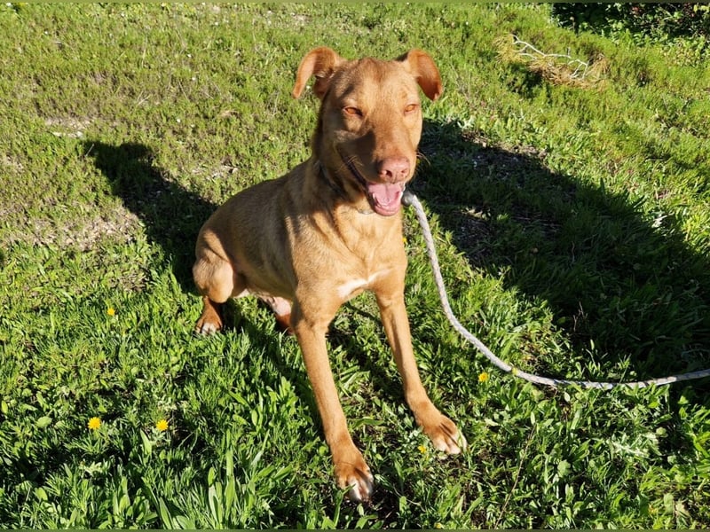 GODVIN sucht entspannte Menschen