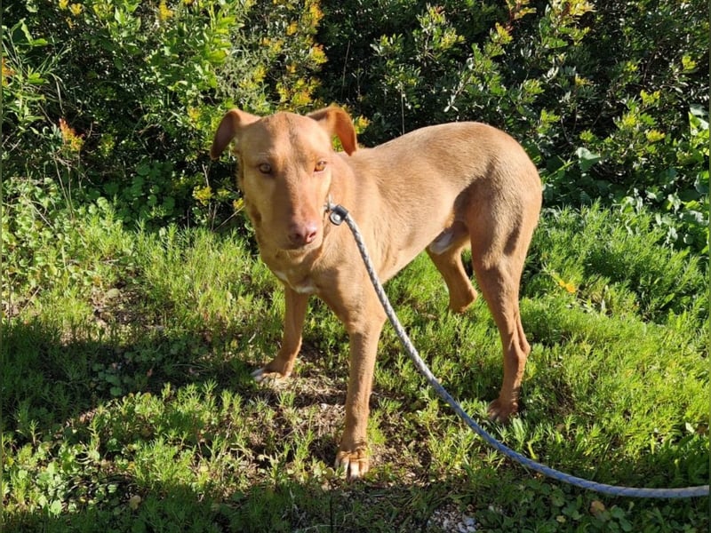 GODVIN sucht entspannte Menschen