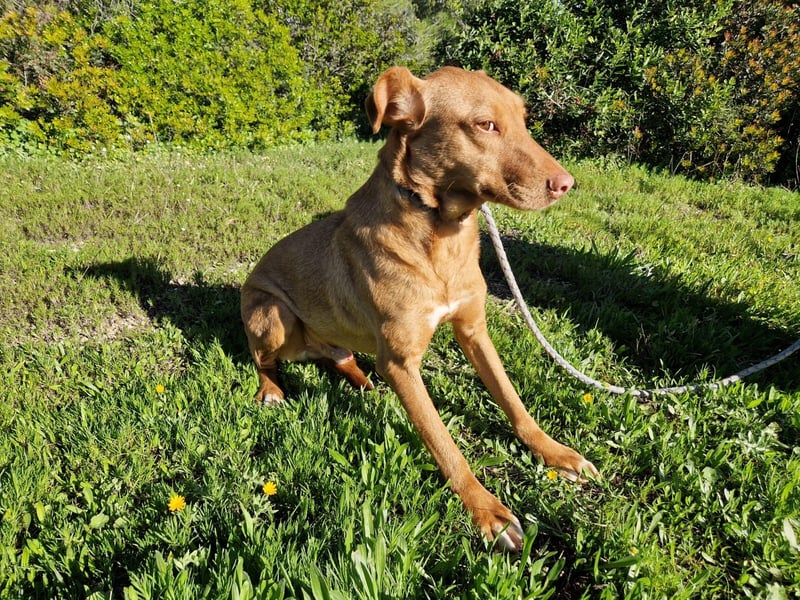 GODVIN sucht entspannte Menschen