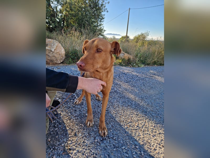 GODVIN sucht entspannte Menschen