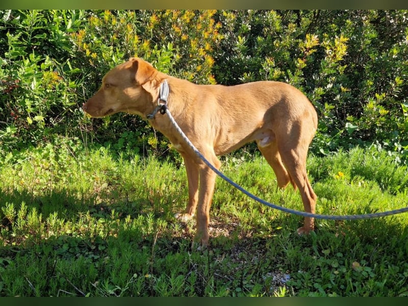 GODVIN sucht entspannte Menschen