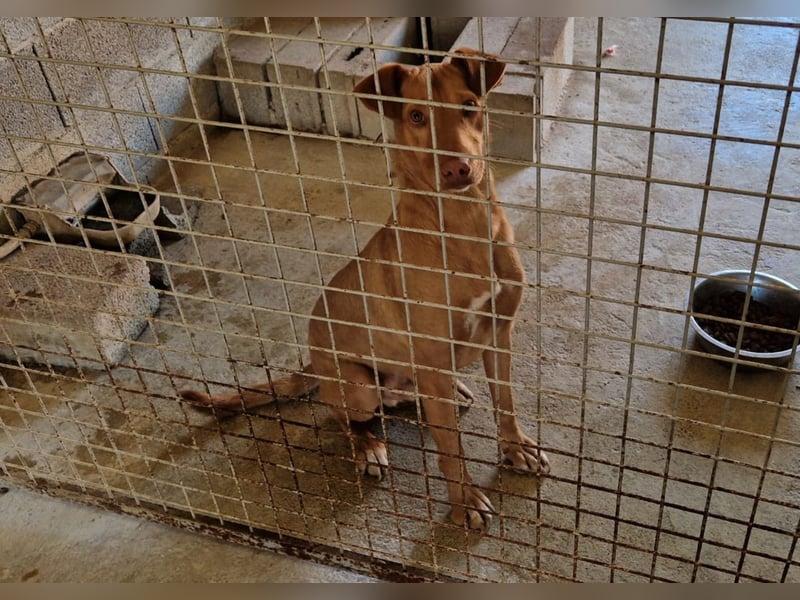 GODVIN sucht entspannte Menschen