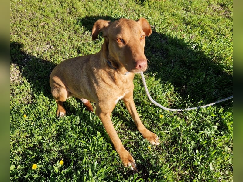 GODVIN sucht entspannte Menschen