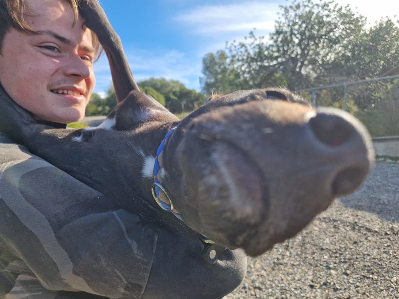 VIANE - schüchterne Kuschelmaus