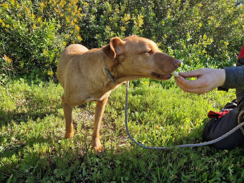 GODVIN sucht entspannte Menschen