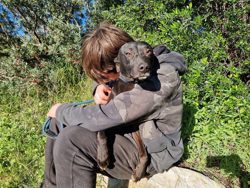 VIANE - schüchterne Kuschelmaus