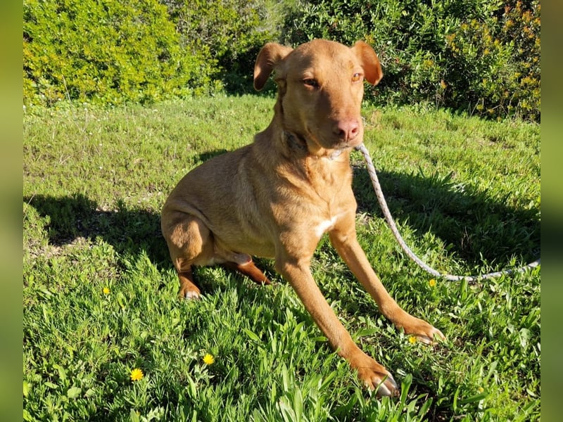 GODVIN sucht entspannte Menschen