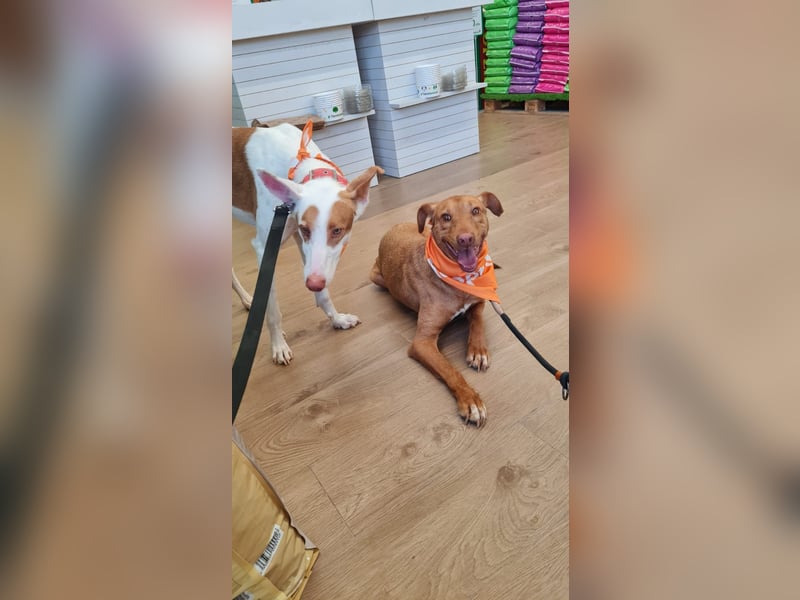 GODVIN sucht entspannte Menschen