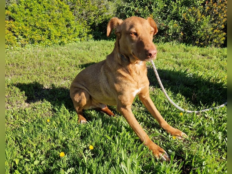 GODVIN sucht entspannte Menschen