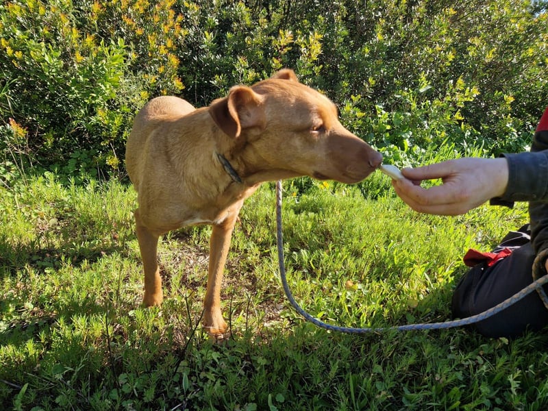 GODVIN sucht entspannte Menschen