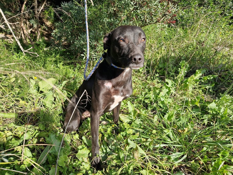 VIANE - schüchterne Kuschelmaus