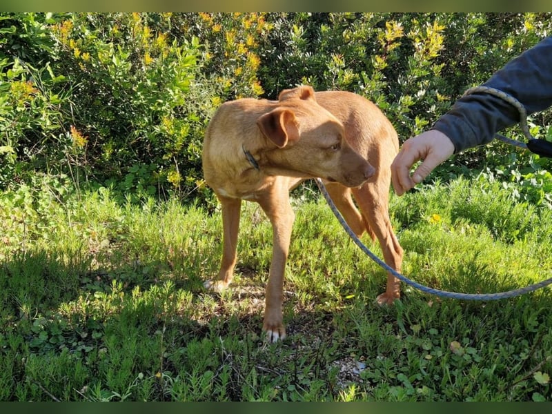 GODVIN sucht entspannte Menschen