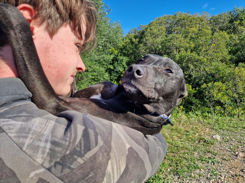 VIANE - schüchterne Kuschelmaus