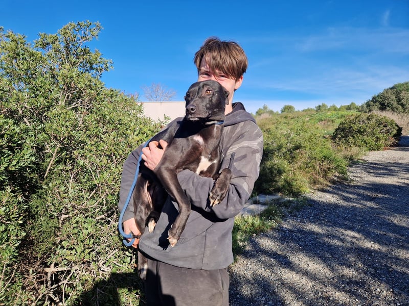 VIANE - schüchterne Kuschelmaus