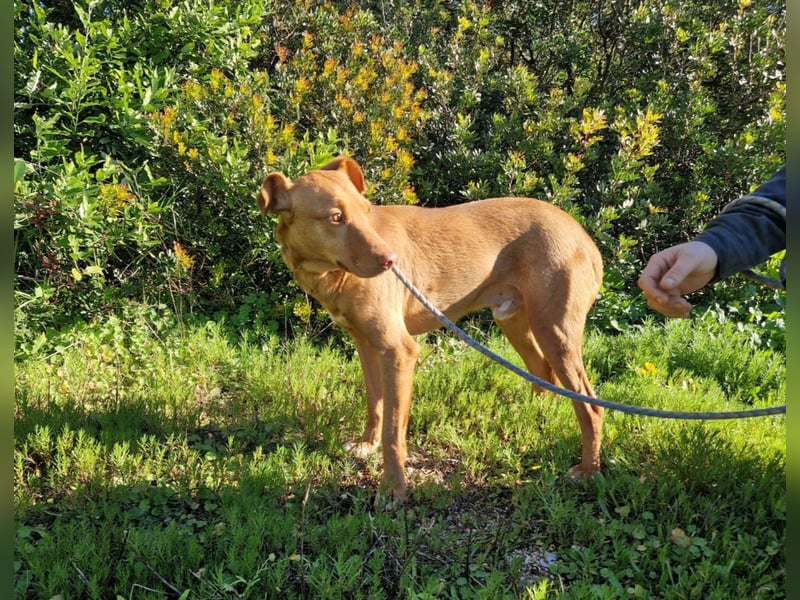 GODVIN sucht entspannte Menschen