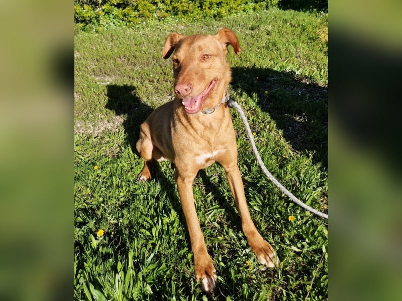 GODVIN sucht entspannte Menschen