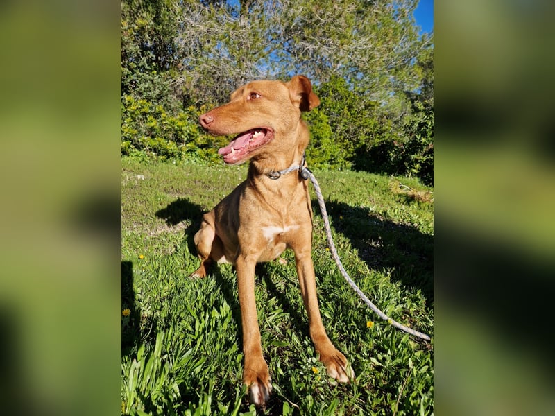 GODVIN sucht entspannte Menschen