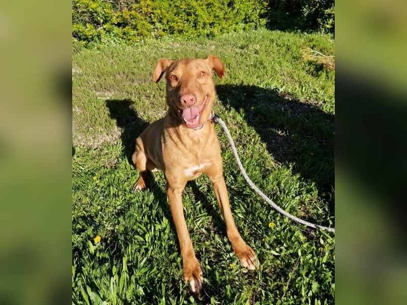 GODVIN sucht entspannte Menschen