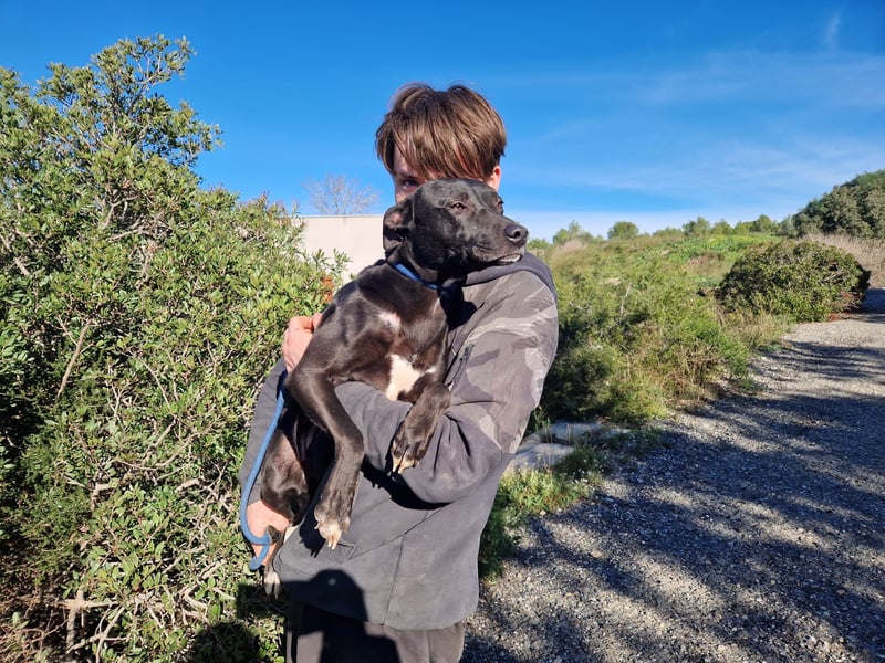 VIANE - schüchterne Kuschelmaus