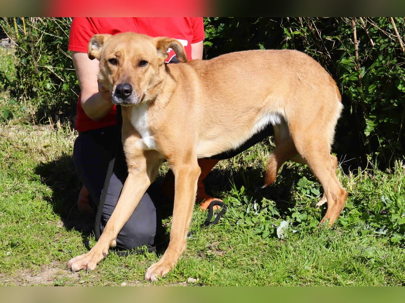 Zuhause gesucht für ❣️ THELMA