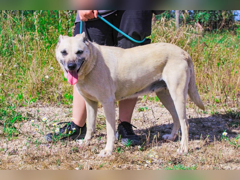 Gerda ❕ Wer sie kennenlernt - Der liebt sie ❕