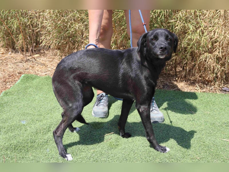 Lua ❤️ sanft und freundlich - lebte in einer Wohnung in der Stadt