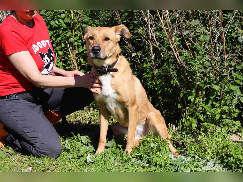 Zuhause gesucht für ❣️ THELMA