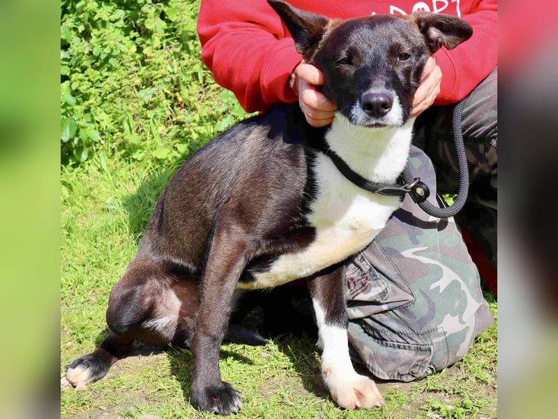 DAINA ❤️ wurde mit ihrer Mutter und ihrem Bruder ausgesetzt ~ aber das liegt hinter ihr