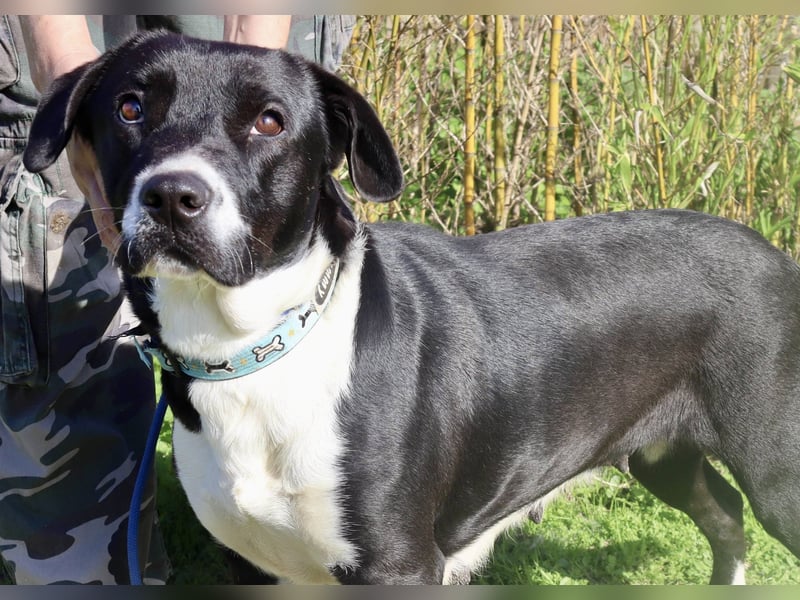 DAINA ❤️ wurde mit ihrer Mutter und ihrem Bruder ausgesetzt ~ aber das liegt hinter ihr