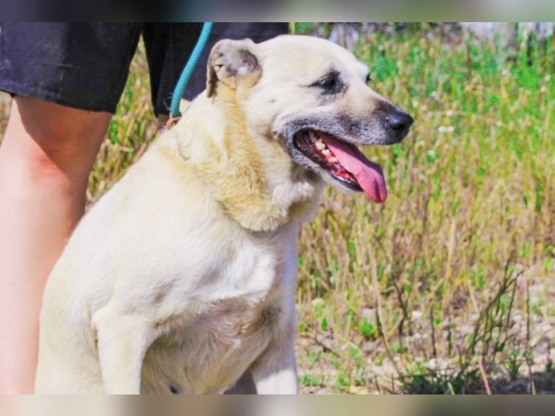 Gerda ❕ Wer sie kennenlernt - Der liebt sie ❕