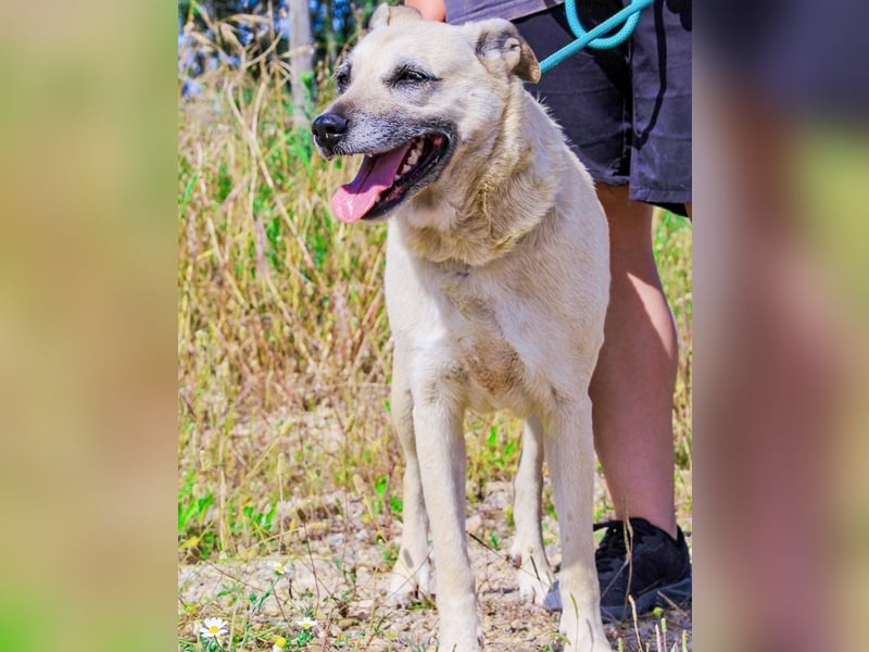 Gerda ❕ Wer sie kennenlernt - Der liebt sie ❕