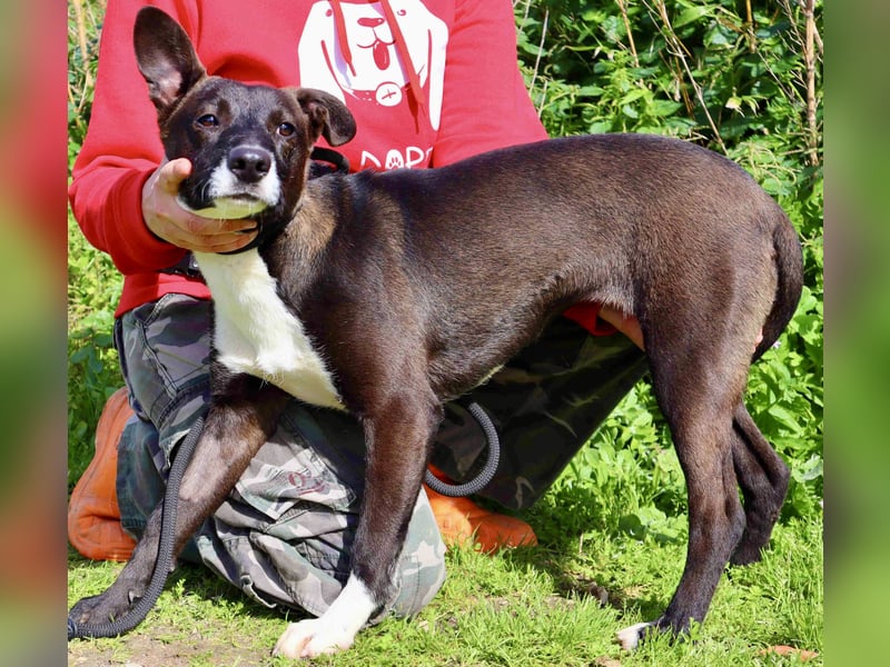 DAINA ❤️ wurde mit ihrer Mutter und ihrem Bruder ausgesetzt ~ aber das liegt hinter ihr