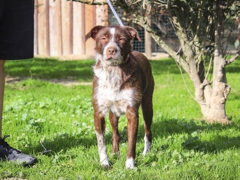 Edna - ein sehr liebes Mädchen - sucht ein Zuhause