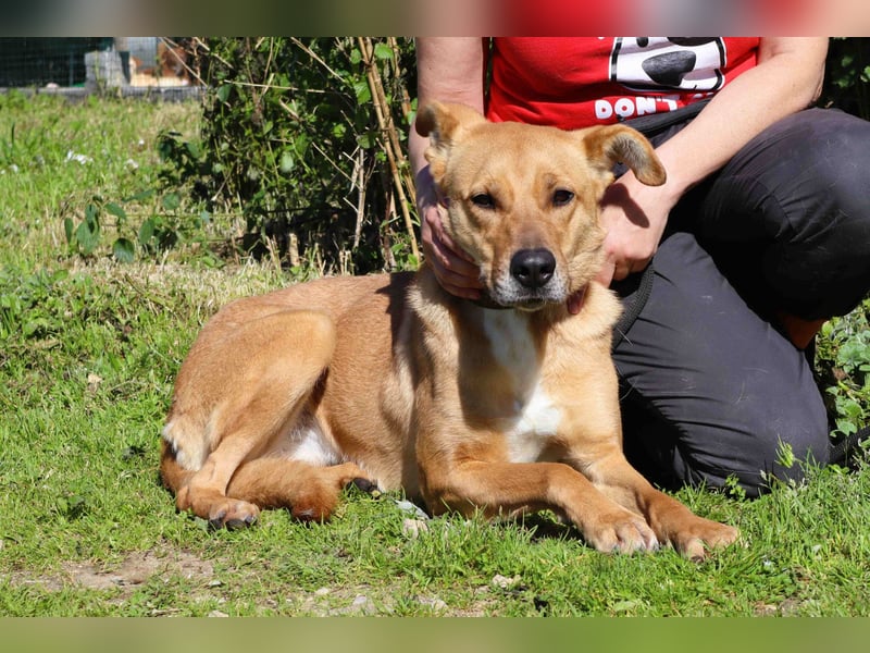 Zuhause gesucht für ❣️ THELMA