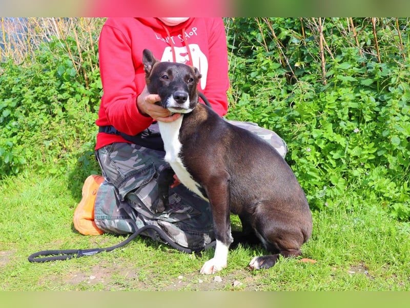 DAINA ❤️ wurde mit ihrer Mutter und ihrem Bruder ausgesetzt ~ aber das liegt hinter ihr