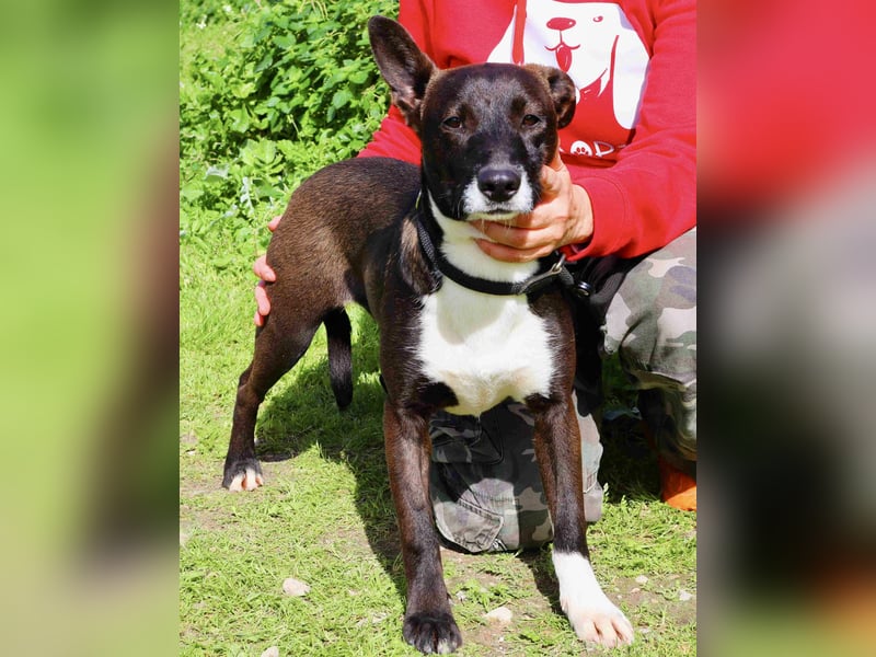 DAINA ❤️ wurde mit ihrer Mutter und ihrem Bruder ausgesetzt ~ aber das liegt hinter ihr