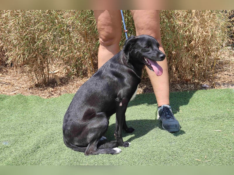 Lua ❤️ sanft und freundlich - lebte in einer Wohnung in der Stadt