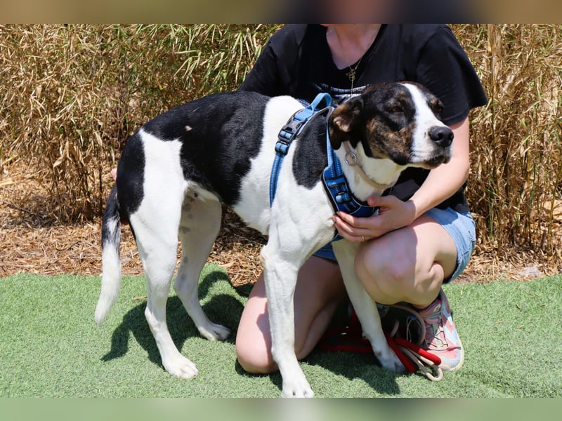 ❤️ Carinha - musste auf dem Schrottplatz leben