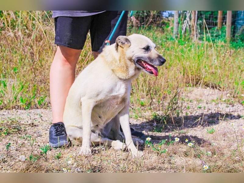 Gerda ❕ Wer sie kennenlernt - Der liebt sie ❕