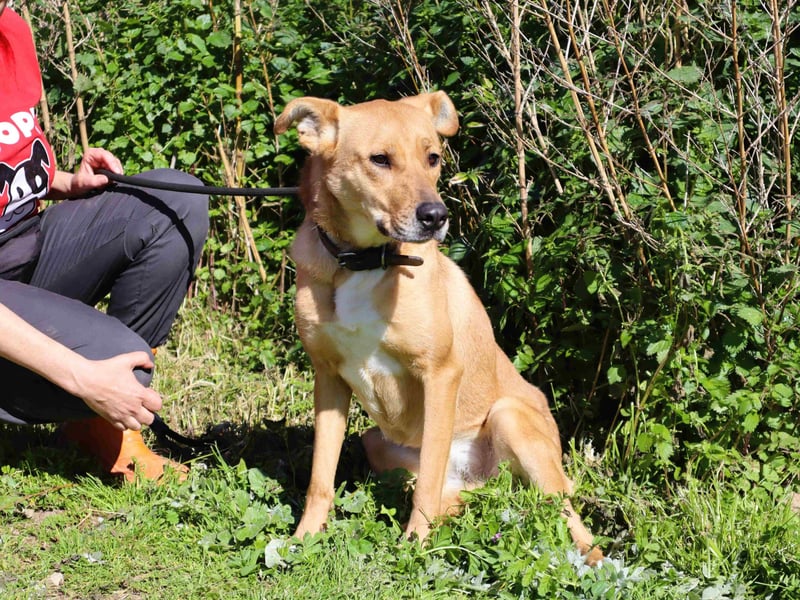 Zuhause gesucht für ❣️ THELMA