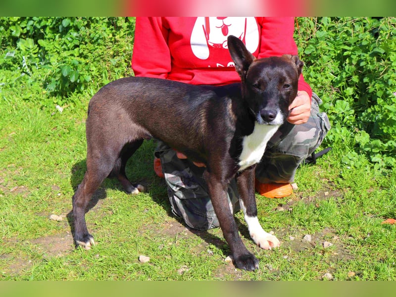 DAINA ❤️ wurde mit ihrer Mutter und ihrem Bruder ausgesetzt ~ aber das liegt hinter ihr