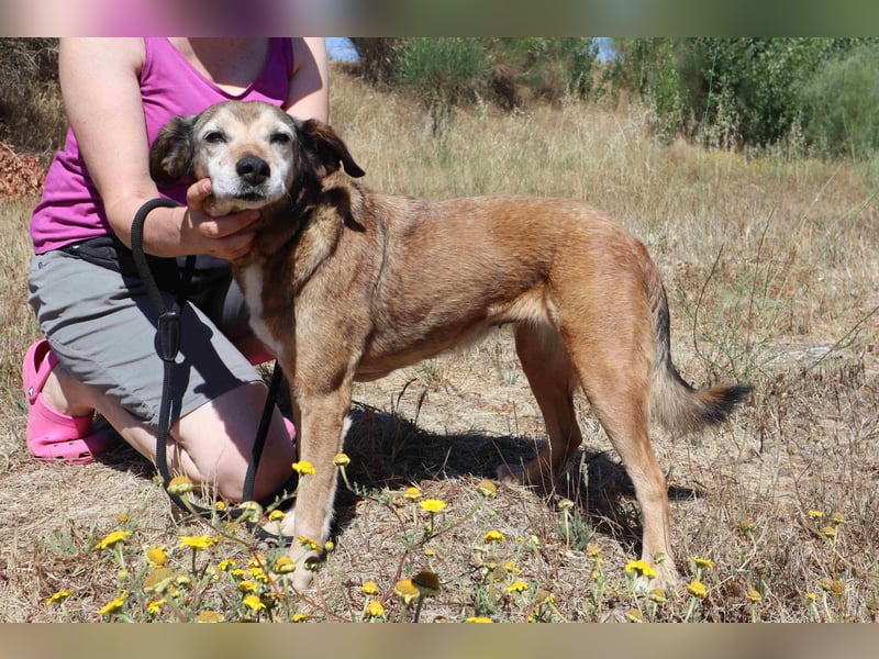 SENIORIN VAIDOSA - ♥️ - Neuzugang in der Cantinho da Milu