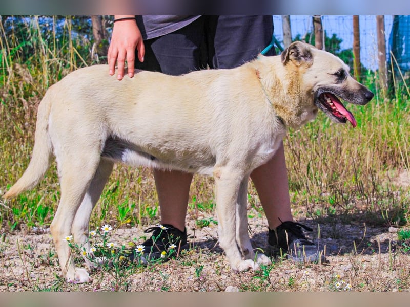 Gerda ❕ Wer sie kennenlernt - Der liebt sie ❕