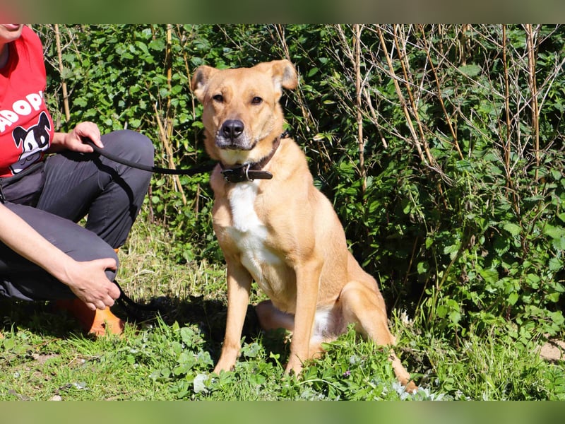 Zuhause gesucht für ❣️ THELMA