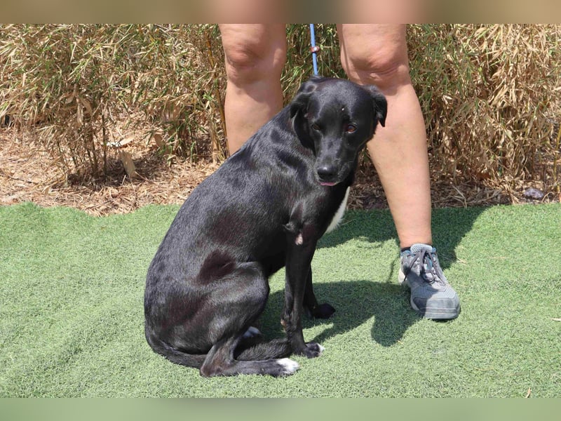 Lua ❤️ sanft und freundlich - lebte in einer Wohnung in der Stadt
