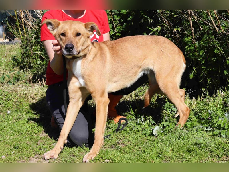 Zuhause gesucht für ❣️ THELMA