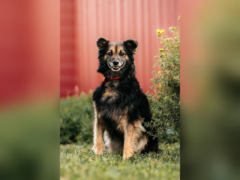 Tolle Zajka sucht liebevolles Zuhause