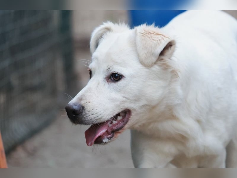 Update Sunny : Auf PS in 42799 Leichlingen